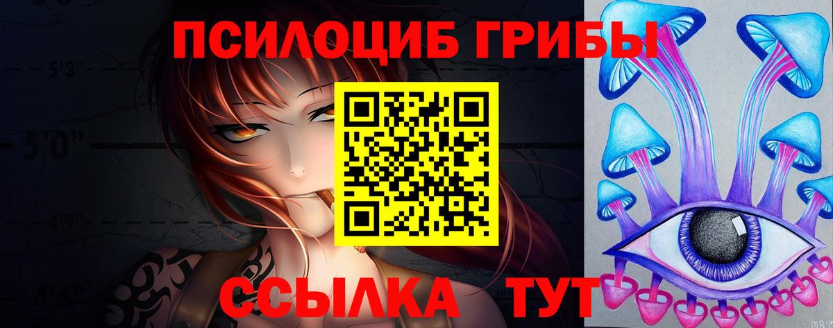 Псилоцибиновые грибы Psilocybe Рославль